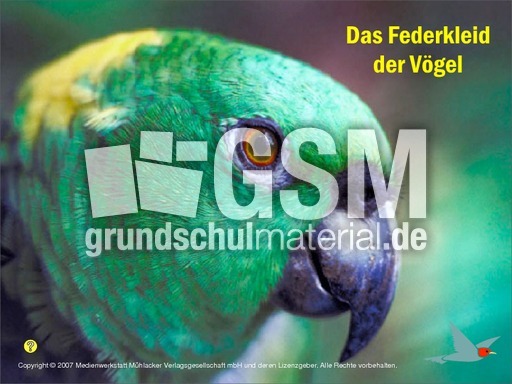 Voegel-Federkleid.pdf